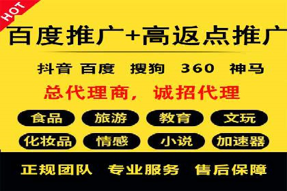 百度推广在电商行业的应用案例